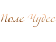 Поле чудес
