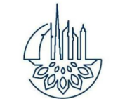 Dubai work