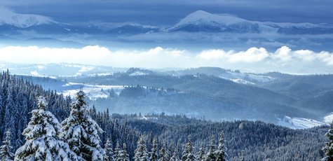Shutterstock_527307991