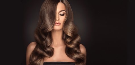 Shutterstock_566875267