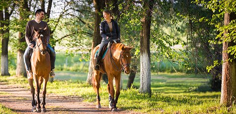 Shutterstock_427131805